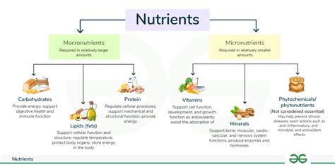 nutritional elements of food hangaroo answer|Classification of Nutrients – Nutrition: Science and .